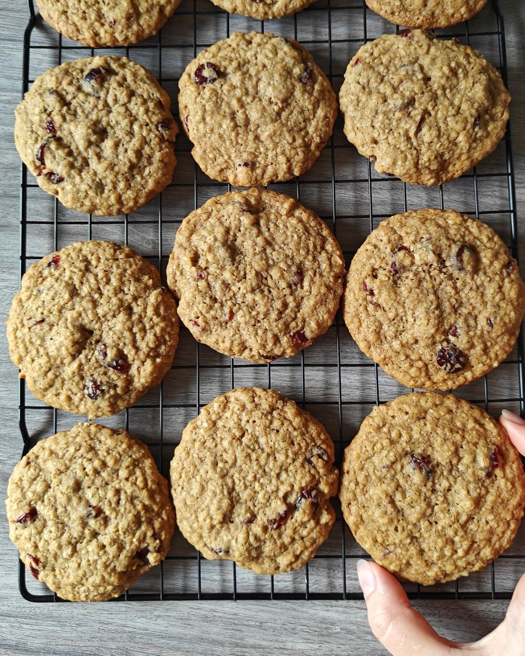 Oats, Cranberry & Cinnamon